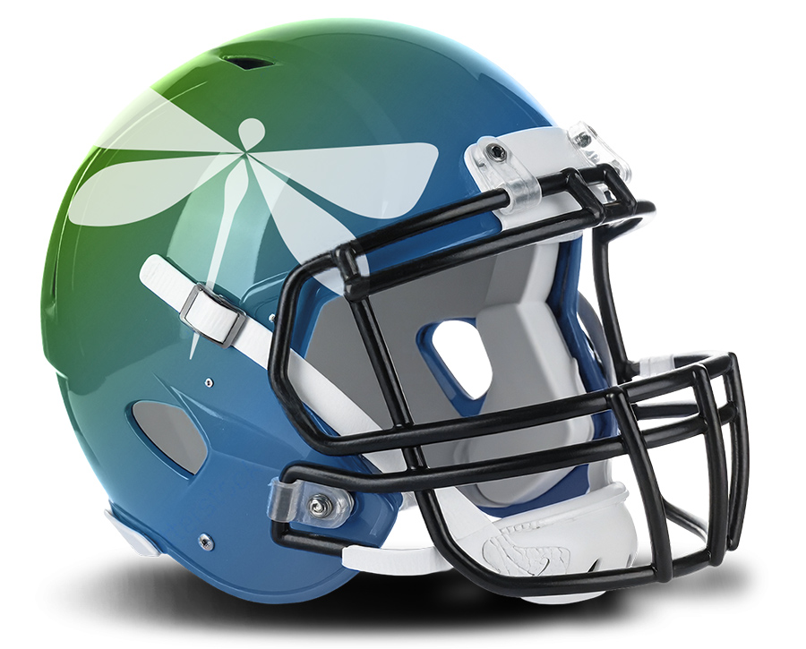 dragonfly logo on a football helmet